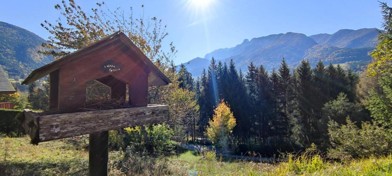 Chalet L'Alpe Saint-Pierre-d'Entremont  Экстерьер фото