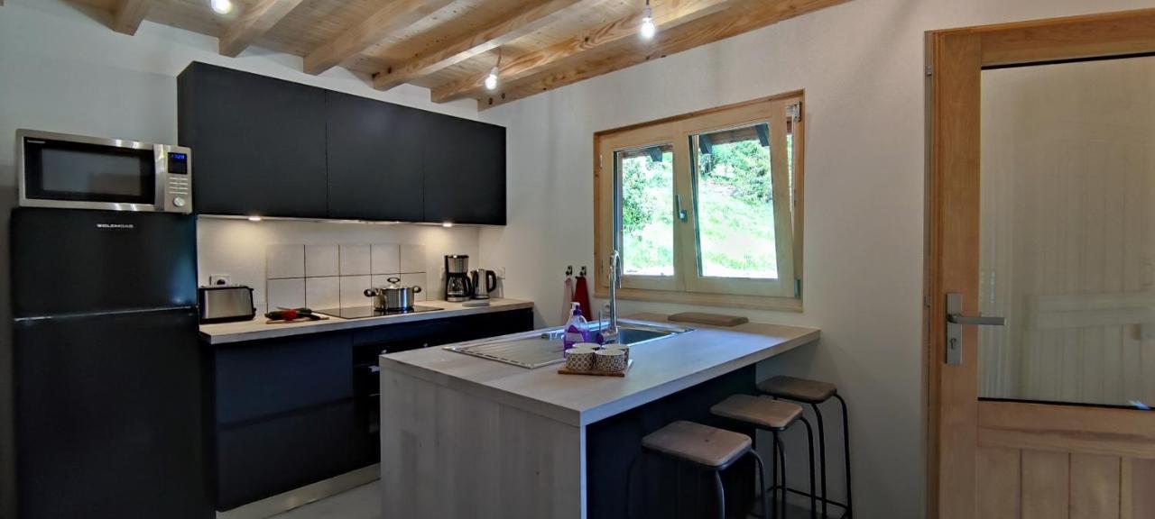 Chalet L'Alpe Saint-Pierre-d'Entremont  Экстерьер фото